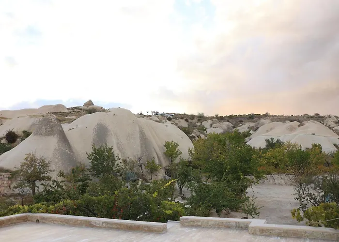 Homestay szállás Cardak House